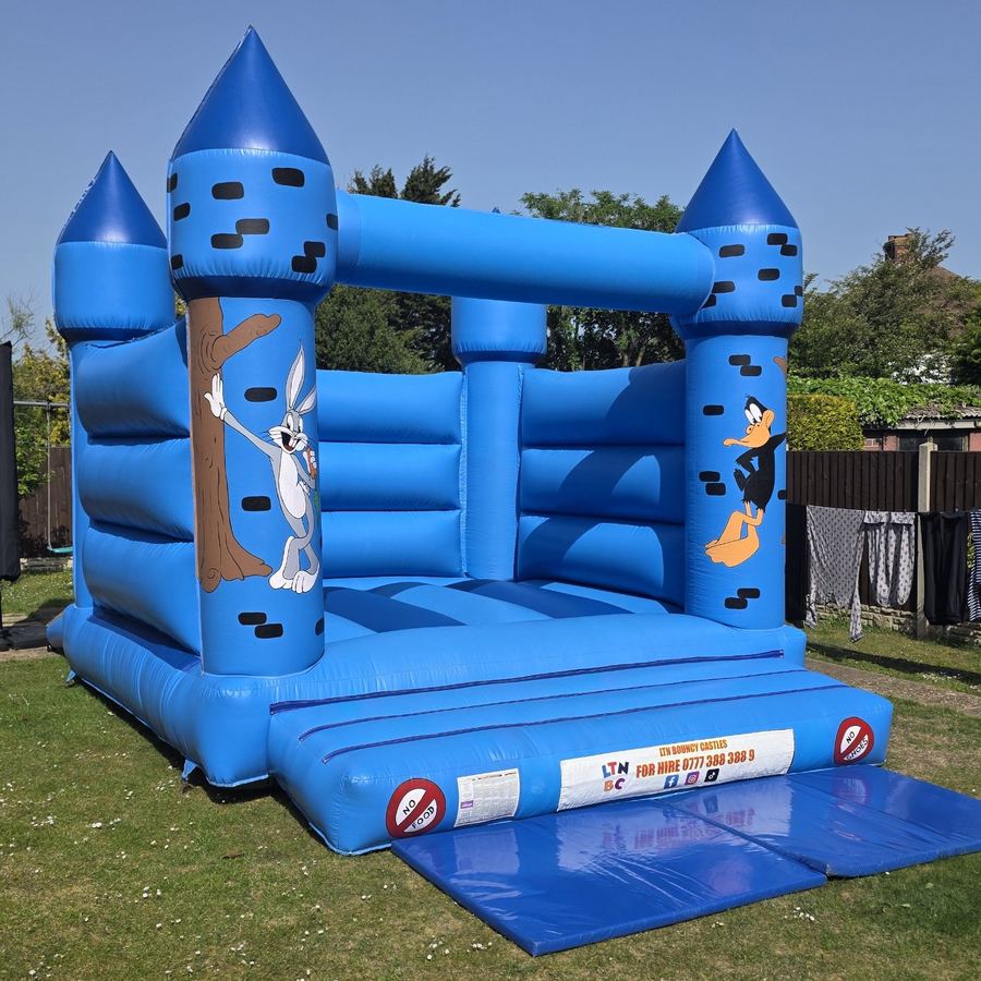 Blue Turret Adult Castle, photo 2