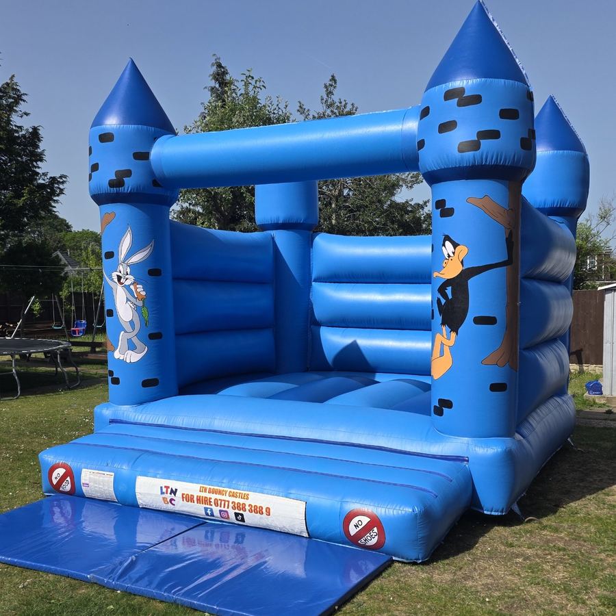 Blue Turret Adult Castle, photo 3